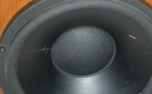 Image 1.png