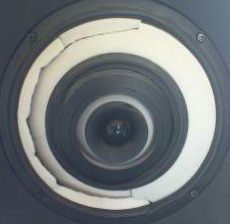 Image 1.png