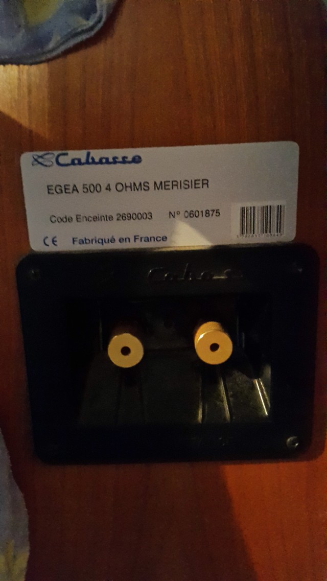 CiNIDU.jpg