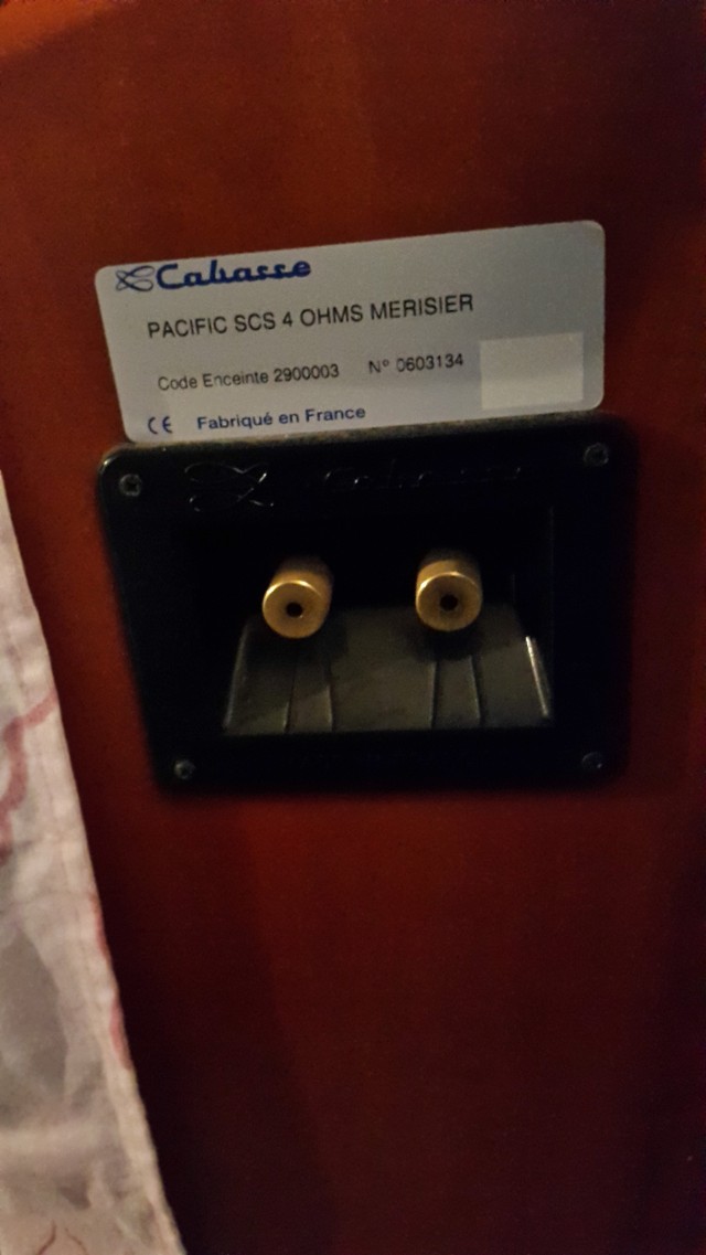 0pLeRf.jpg