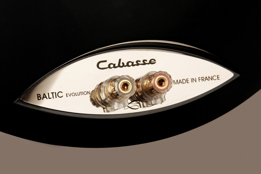BALTIC-Black-pearl-close-up-terminals-1.jpg