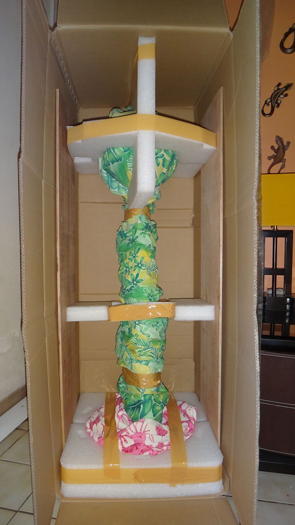 DSC00493_opt.jpg
